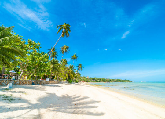 barbados